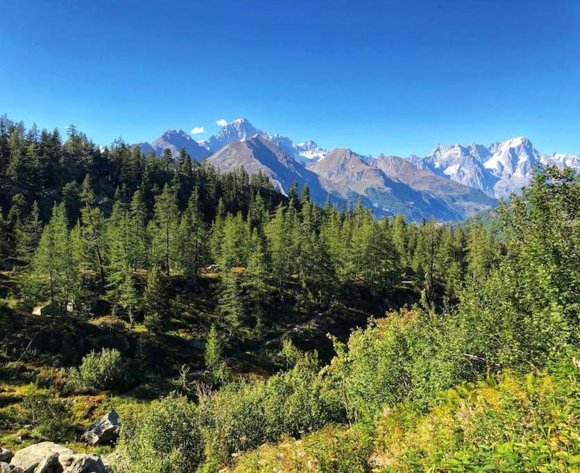 Appartamento Ampio Giardino Adiacente Piste Sci 4/6 Posti Letto La Thuile Exterior photo